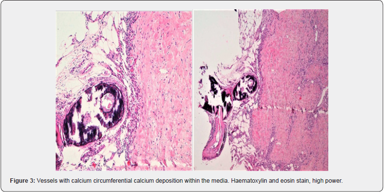 Click here to view Large Figure 3