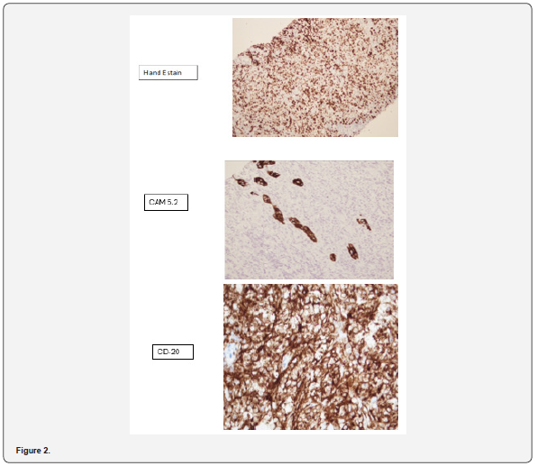 Click here to view Large Figure 2