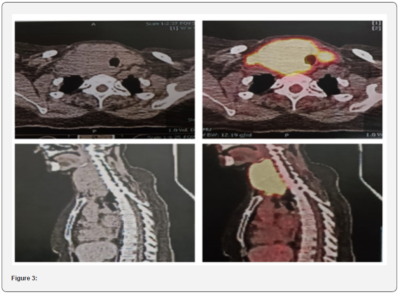 Click here to view Large Figure 3