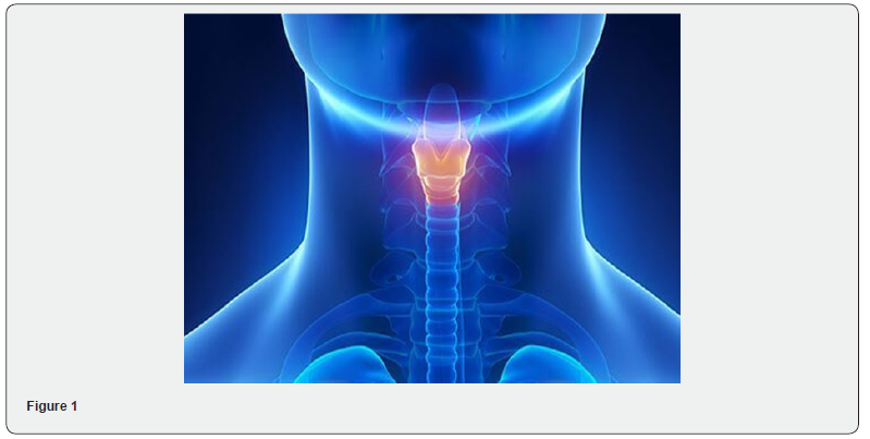 Click here to view Large Figure 1