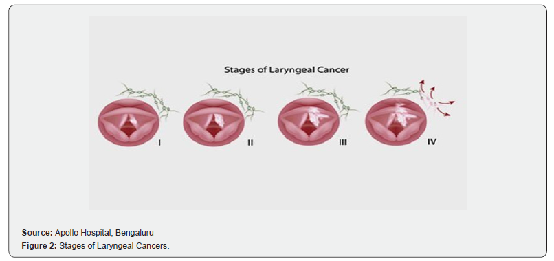 Click here to view Large Figure 2