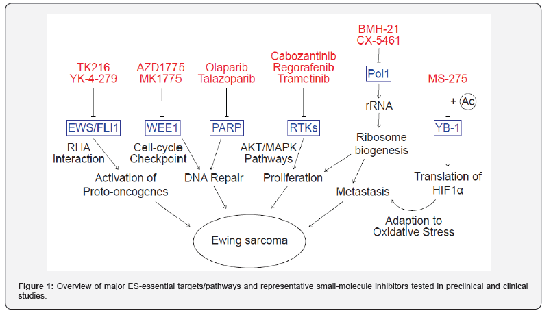 Click here to view Large Figure 1