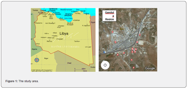 Click here to view Large Figure 1