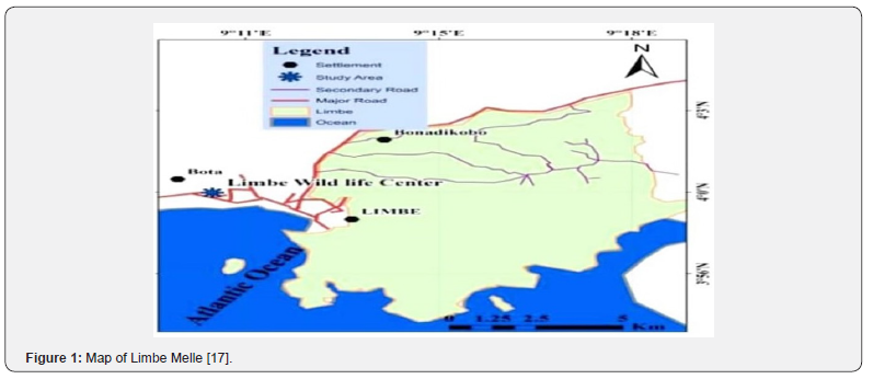 Click here to view Large Figure 1