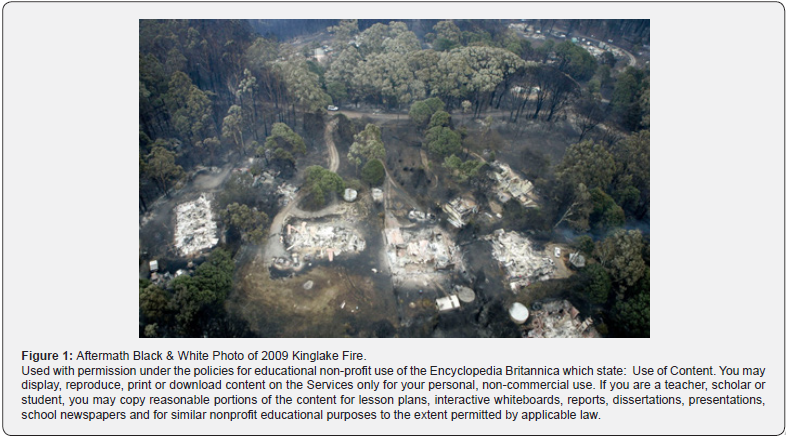 Click here to view Large Figure 1