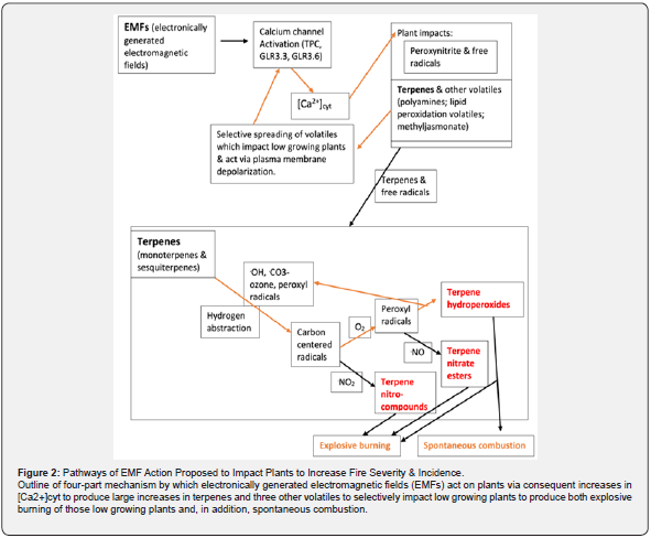 Click here to view Large Figure 2