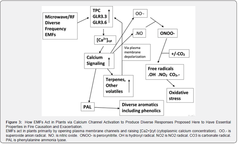 Click here to view Large Figure 3