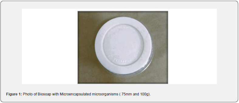 Click here to view Large Figure 2