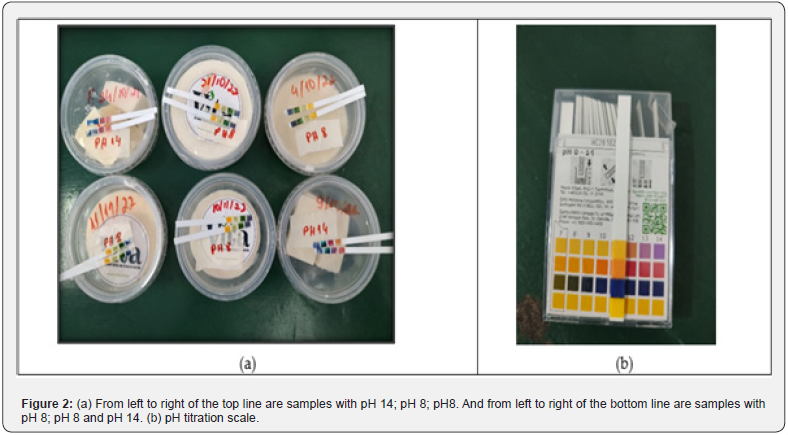 Click here to view Large Figure 2