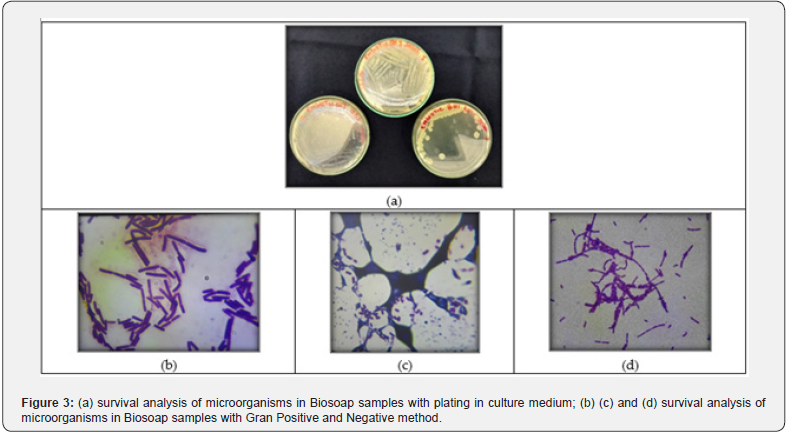 Click here to view Large Figure 3