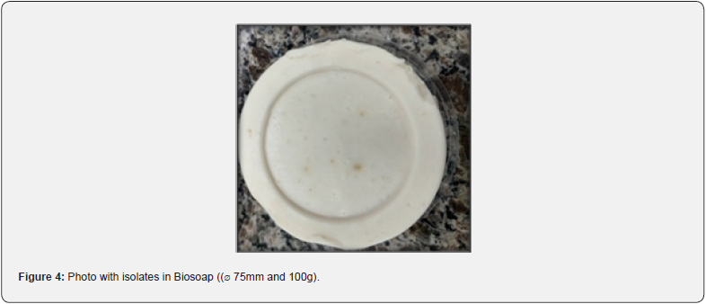 Click here to view Large Figure 4