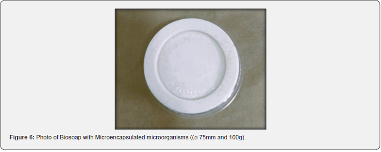 Click here to view Large Figure 6