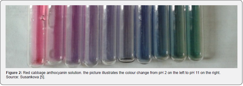 Click here to view Large Figure 2