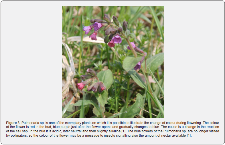 Click here to view Large Figure 3