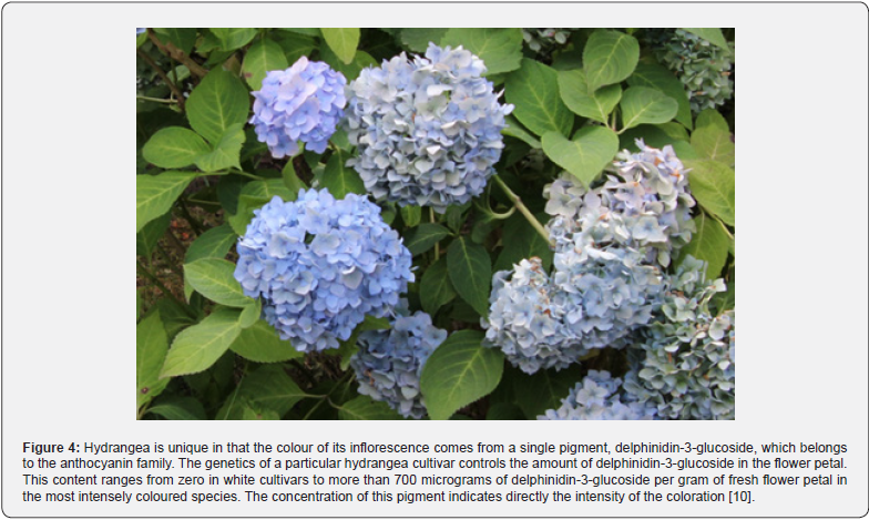 Click here to view Large Figure 4