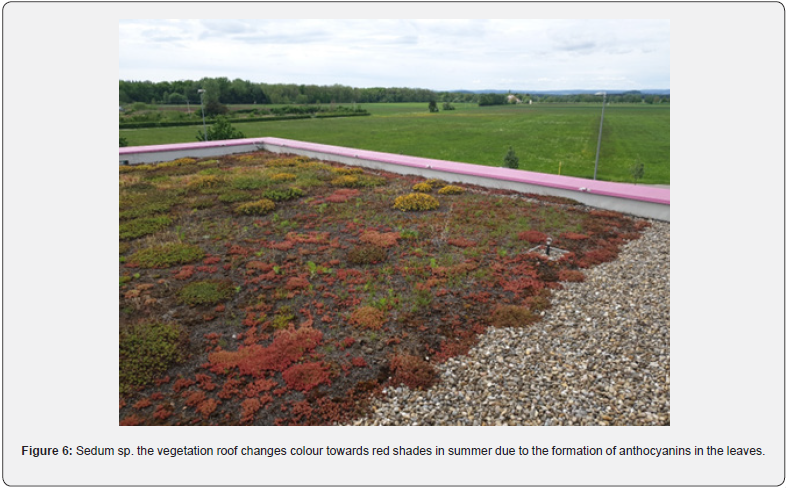 Click here to view Large Figure 6