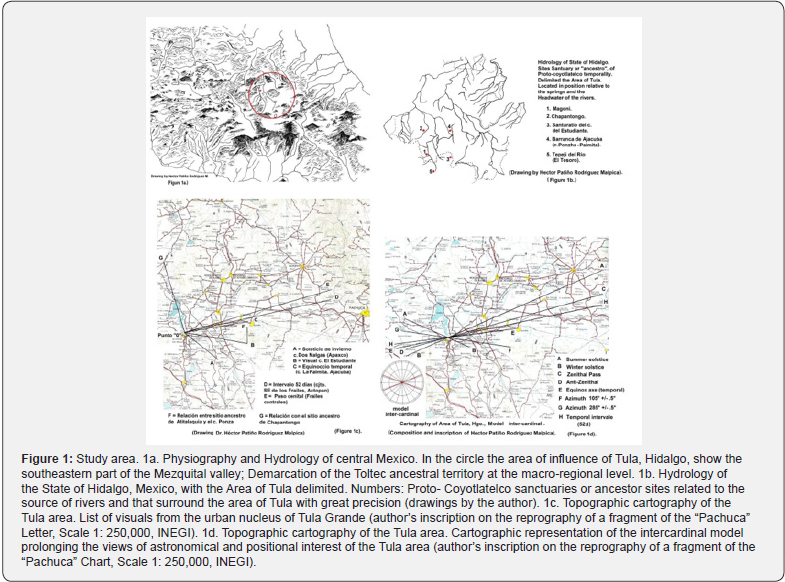 Click here to view Large Figure 1