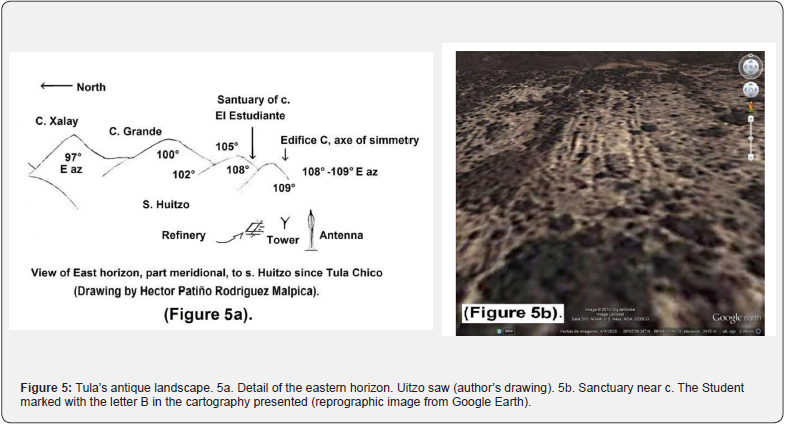 Click here to view Large Figure 5