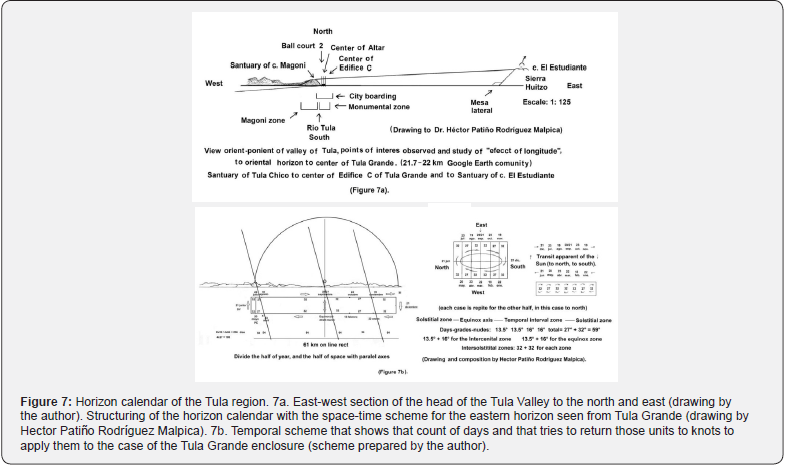 Click here to view Large Figure 7