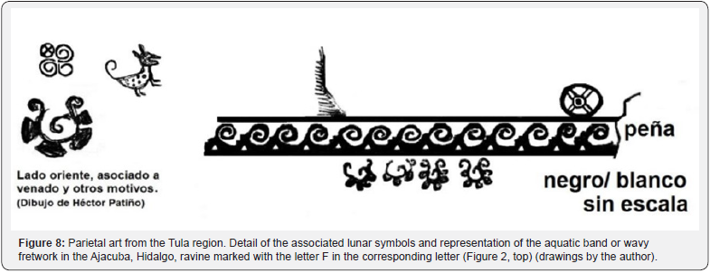 Click here to view Large Figure 8