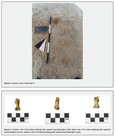 Click here to view Large Figure 3