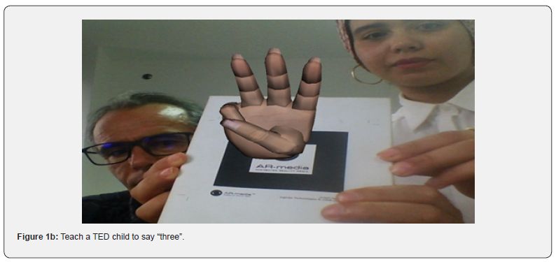 Click here to view Large Figure 1b