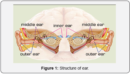Journal Of Otolaryngology Open Access Journals Journal Of Otolaryngology Open Access Journals