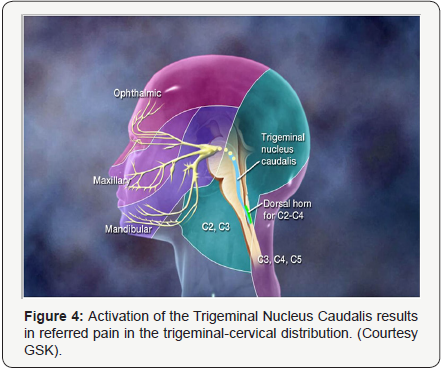 Journal Of Otolaryngology Open Access Journals Journal Of Otolaryngology Open Access Journals