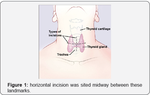 Click here to view Large Figure 1