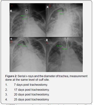 Click here to view Large Figure 2