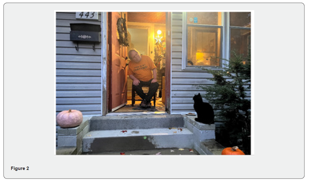 Click here to view Large Figure 2