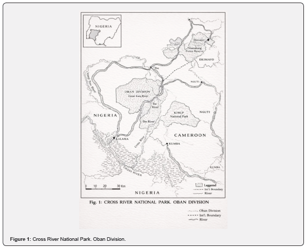 Click here to view Large Figure 1