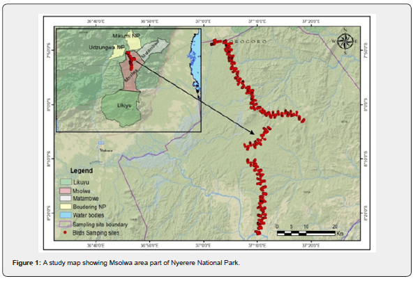 Click here to view Large Figure 1