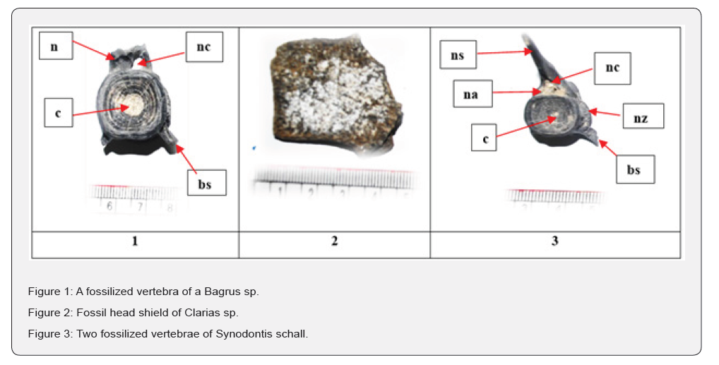 Click here to view Large Figure 1,2&3
