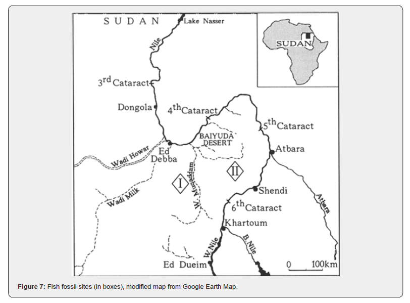 Click here to view Large Figure 7