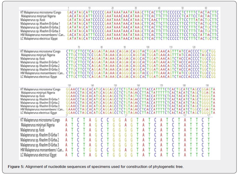 Click here to view Large Figure 5