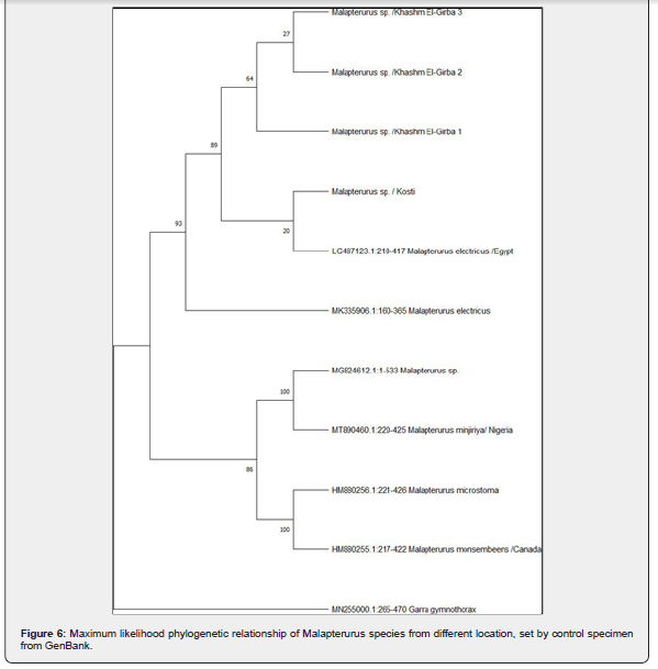 Click here to view Large Figure 6