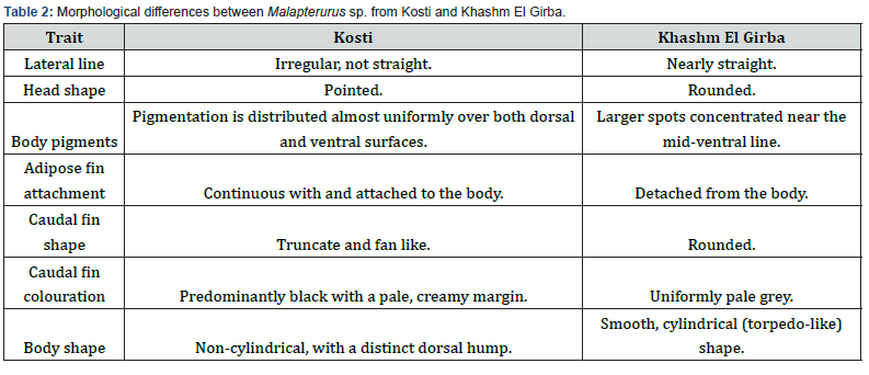 Click here to view Large Table 2
