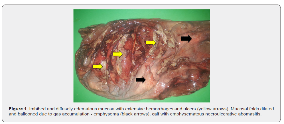 Click here to view Large Figure 1