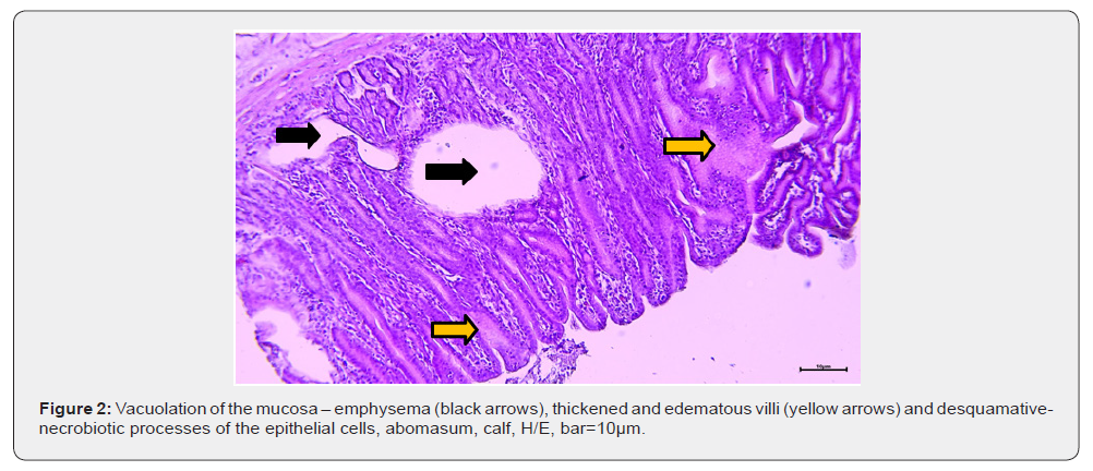 Click here to view Large Figure 2