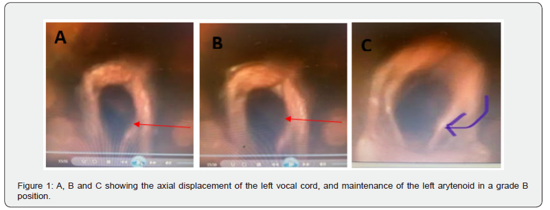 Click here to view Large Figure 1