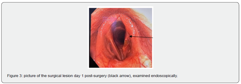 Click here to view Large Figure 3