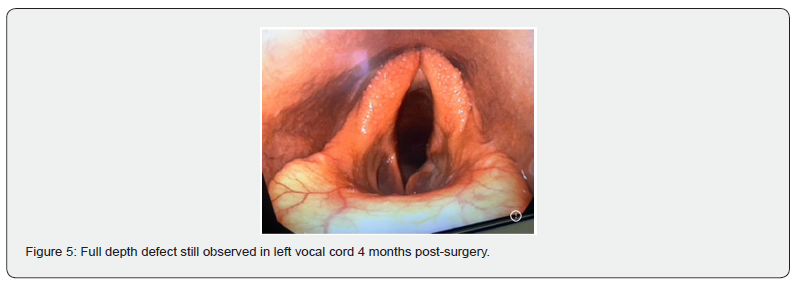 Click here to view Large Figure 5