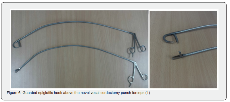 Click here to view Large Figure 6