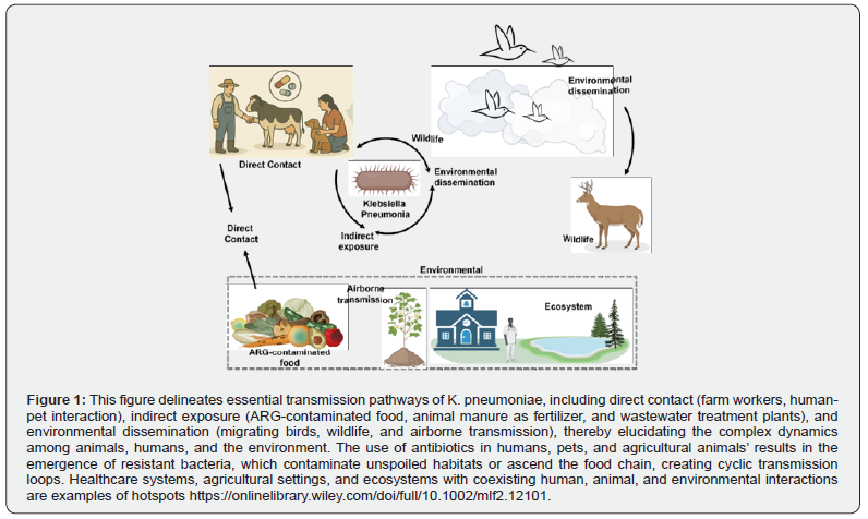 Click here to view Large Figure 1