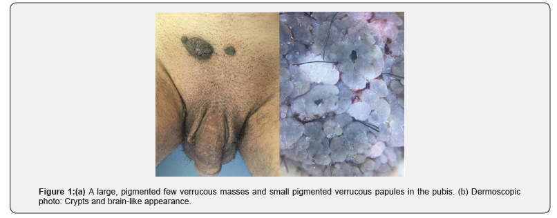 Click here to view Large Figure 1 Juniper Online Journal of Case Studies