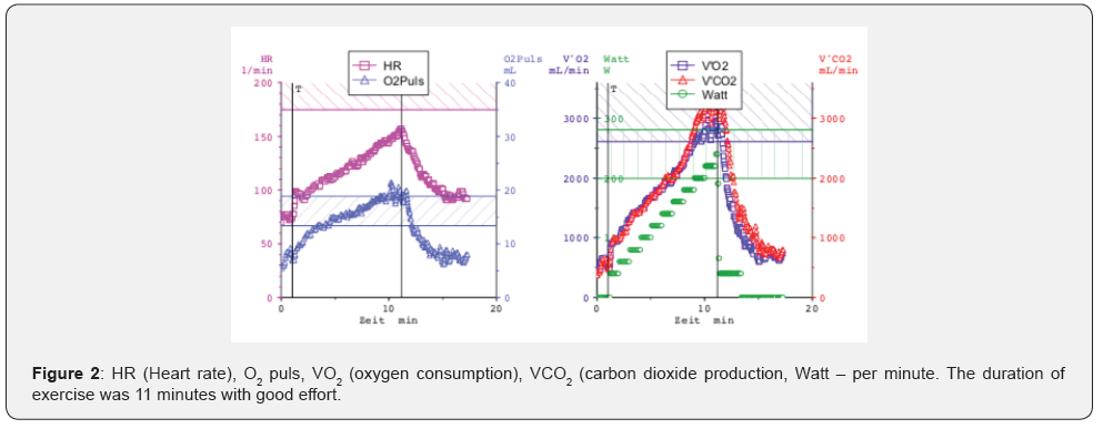 Click here to view Large Figure 2 Juniper Online Journal of Case Studies