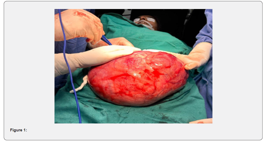 Click here to view Large Figure 1