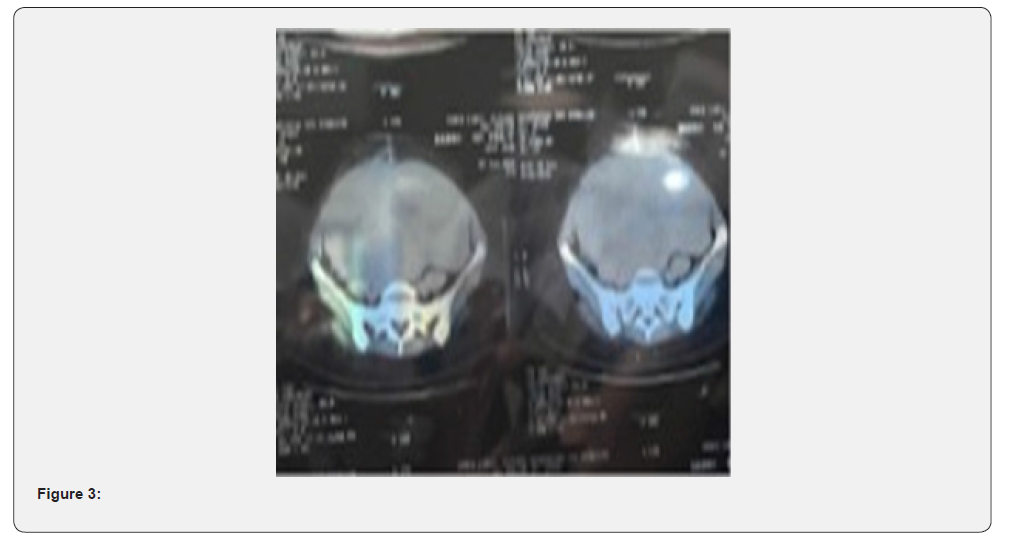 Click here to view Large Figure 3