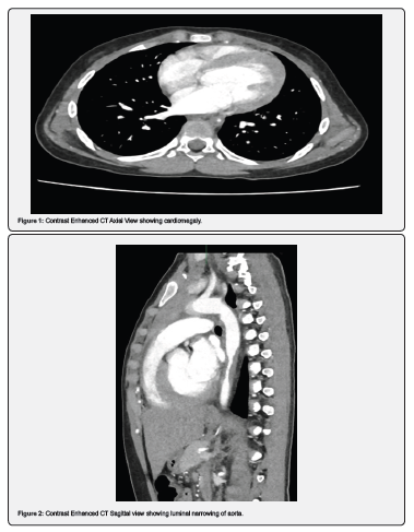 Click here to view Large Figure 1